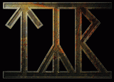 Logo Týr